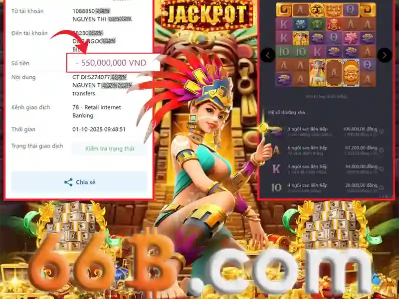 66B là gì?