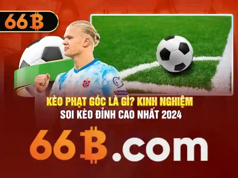 66B: Mô hình ngôn ngữ quy mô lớn với 66 tỷ tham số