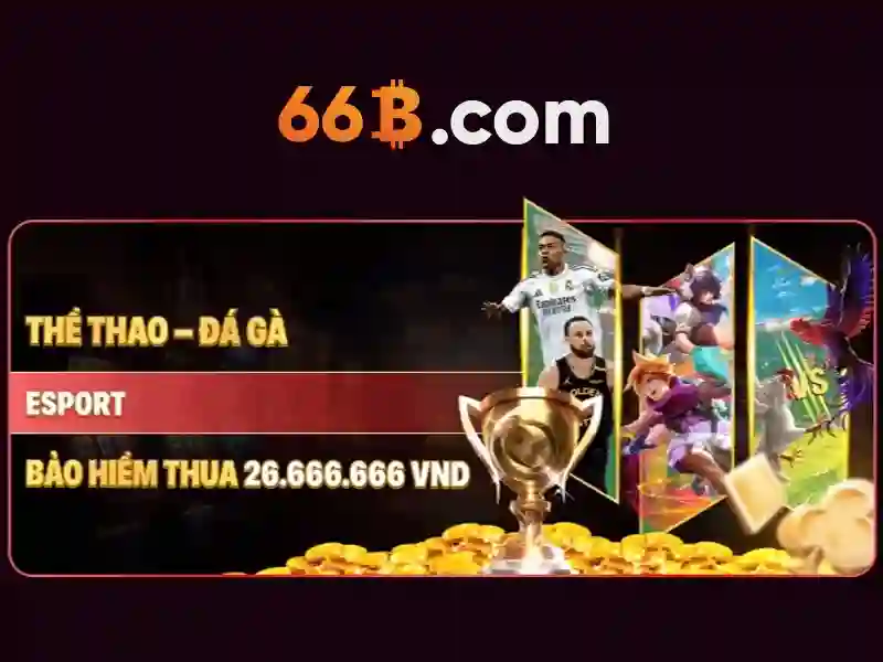 66B là gì?