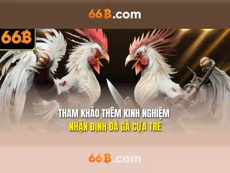 66B: Hiểu và ứng dụng của mô hình ngôn ngữ lớn 66 tỷ tham số