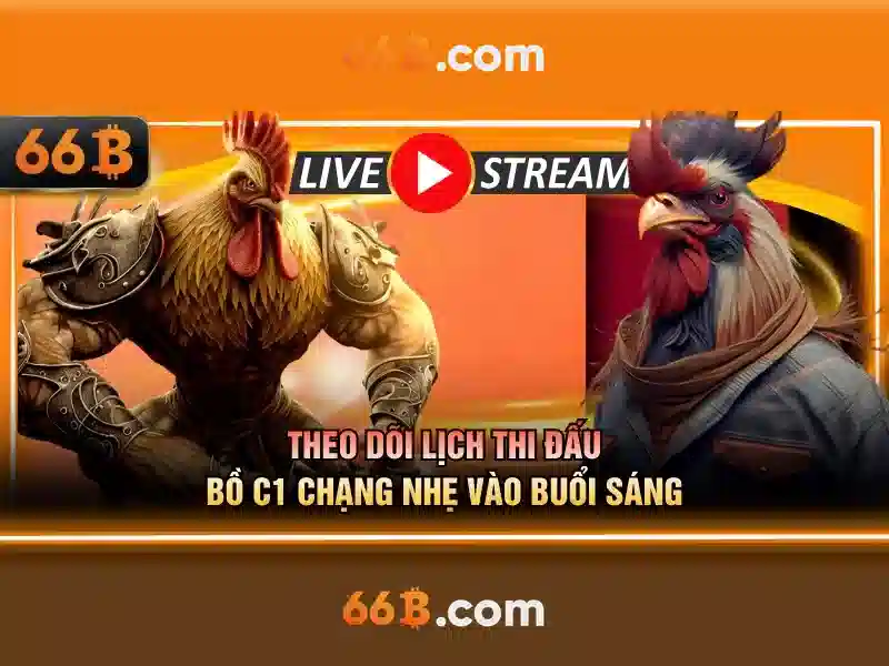 66b: một khái niệm và hành trình