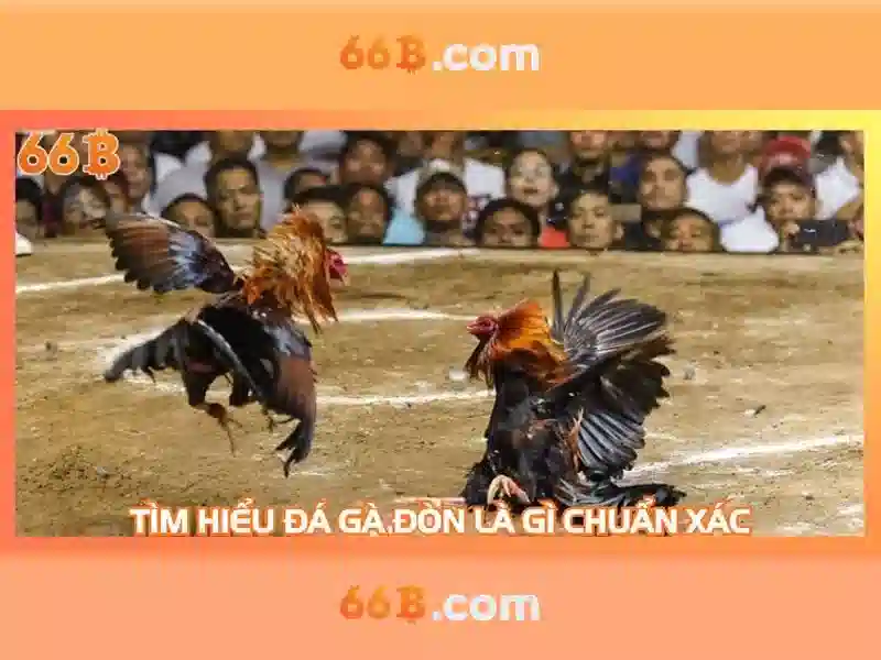 Ứng dụng và thách thức