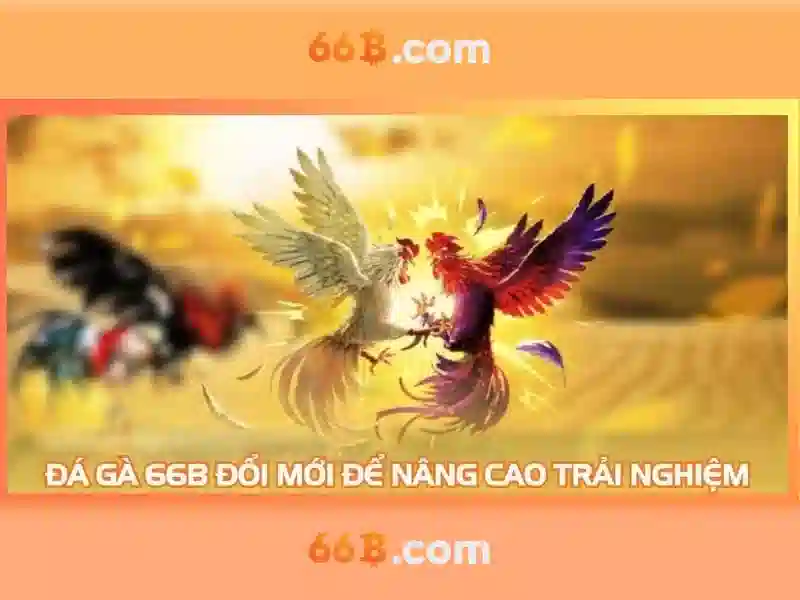 banner-khuyenmai-66b