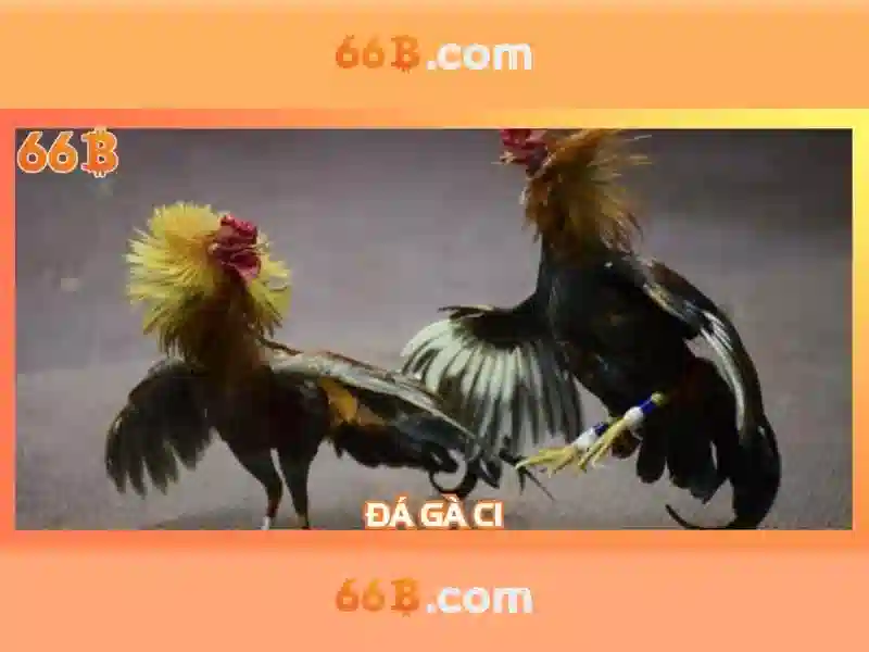 66B và sự phát triển của trí tuệ nhân tạo