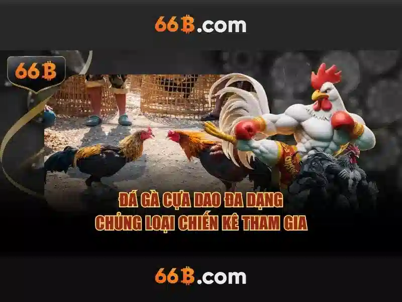 66b là gì?