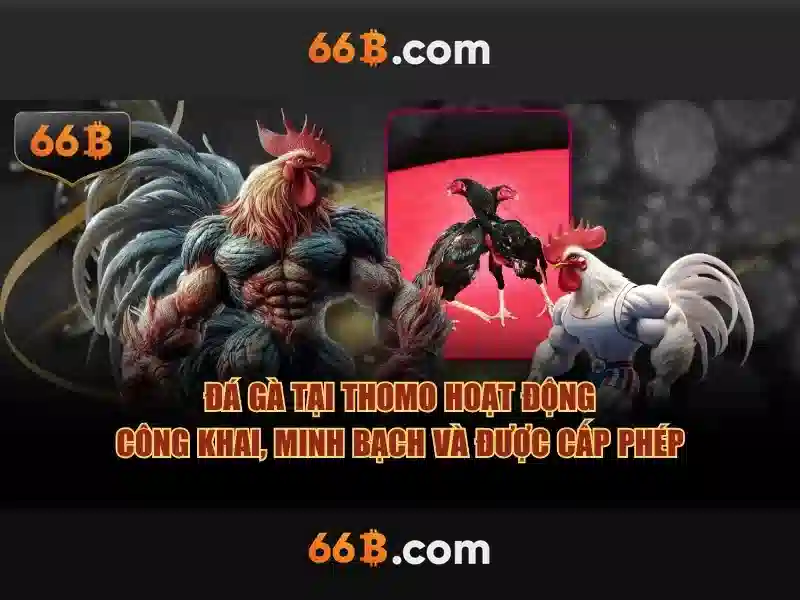 Vai trò trong công nghệ hiện đại