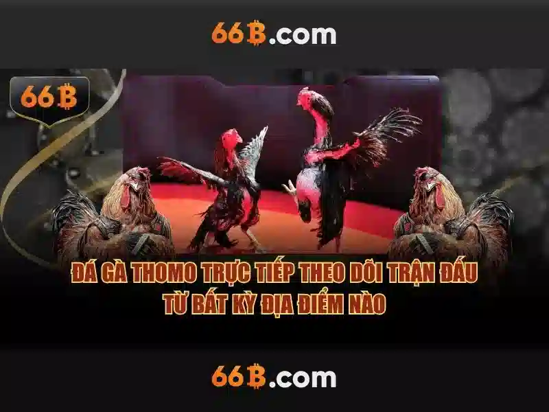 Tiếp cận 66b với công nghệ và dữ liệu