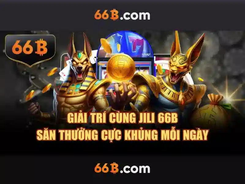 66b la gi