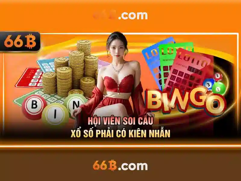 66B là gì