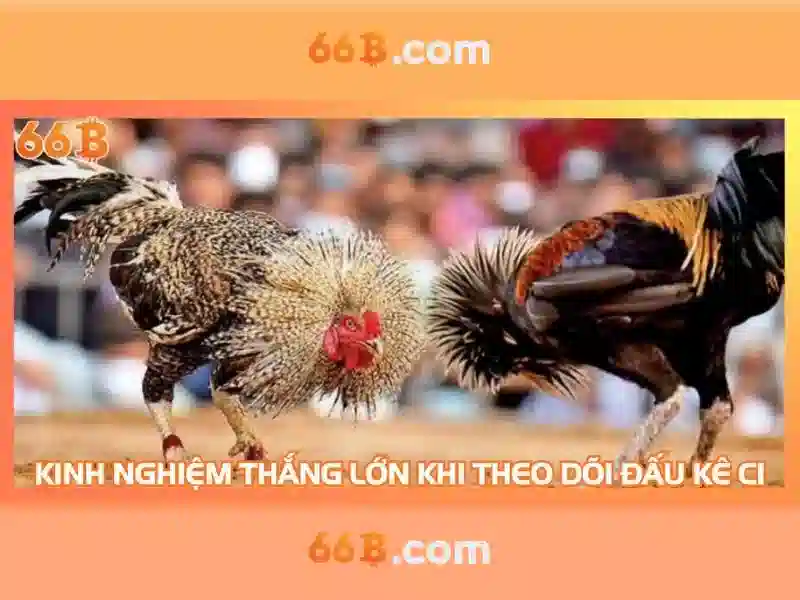 Kiến trúc và đặc điểm