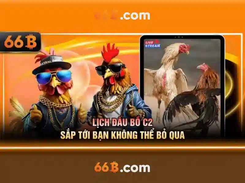 66b: khái niệm, kiến trúc và ứng dụng