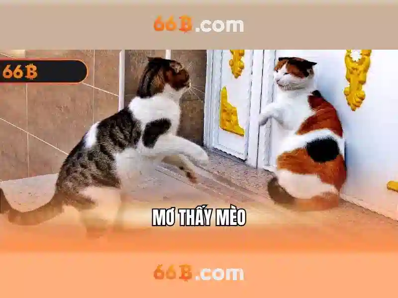 Xuất xứ và ý nghĩa của 66b