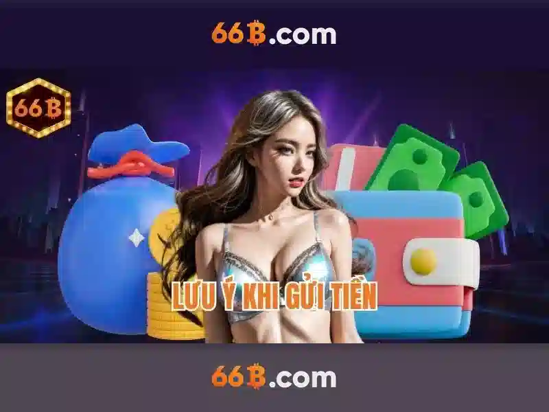 66B là gì?