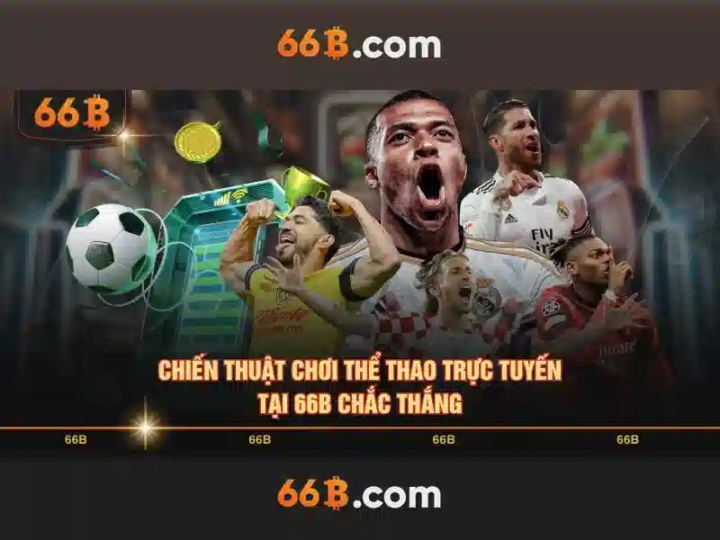 66b là gì: Khái niệm và ứng dụng