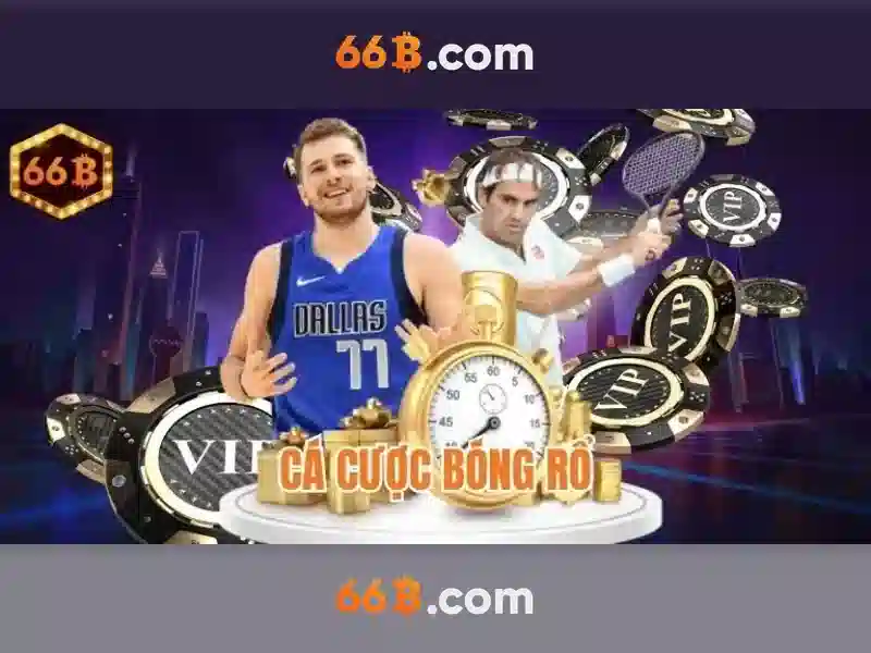 66b-cookie-banner