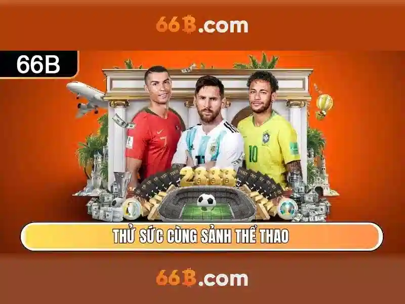 66B là gì?