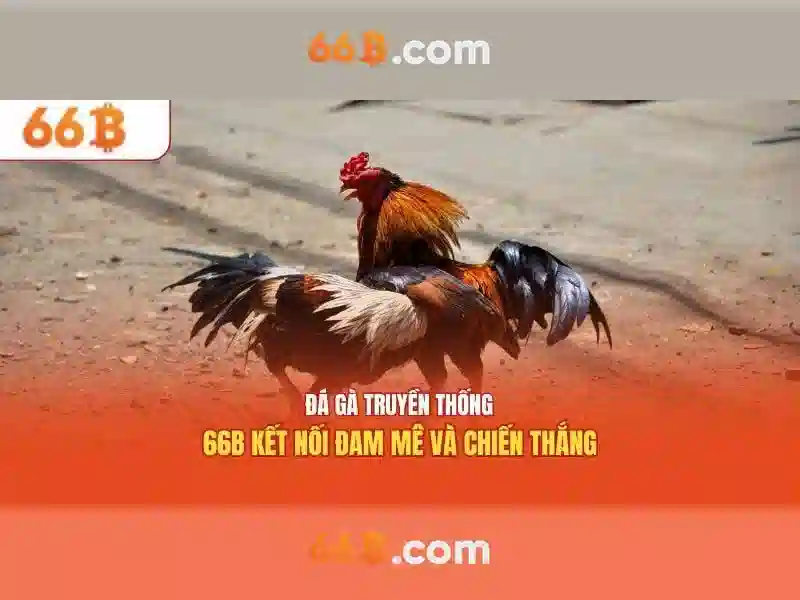 kim-soat-tieu-duong-tai-chinh