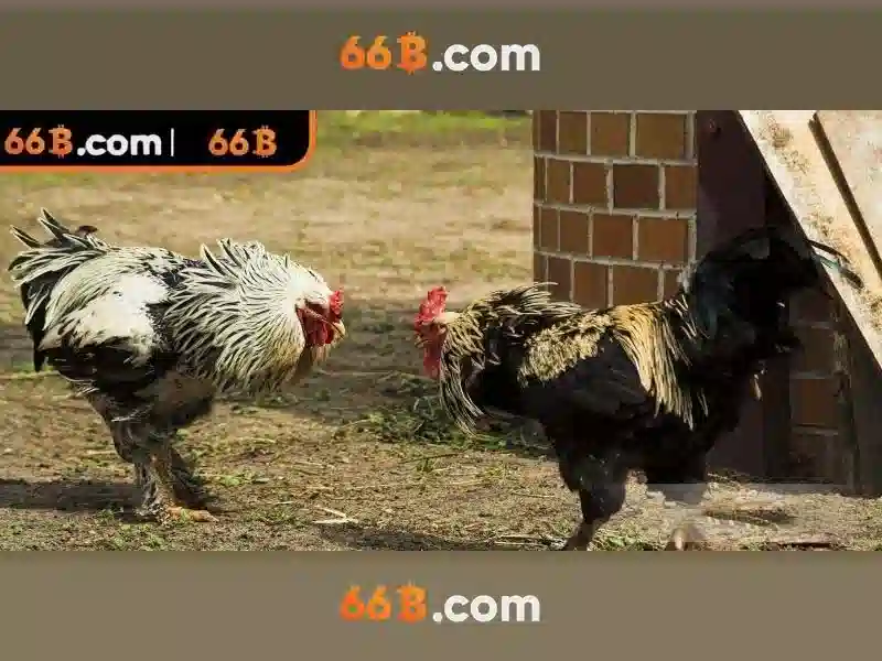 Kiến trúc và tham số