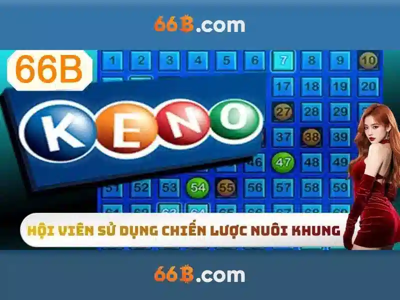 66B là gì và tại sao nó quan trọng