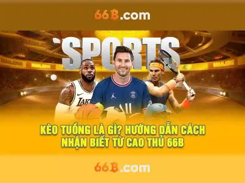 66b: một khái niệm và hành trình của nó
