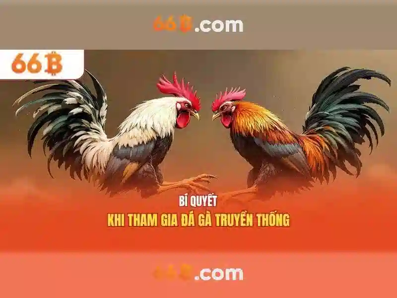 66b là gì và ứng dụng trong công nghệ hiện đại