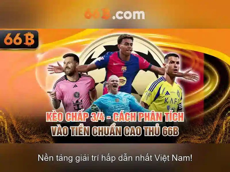 66b và sự ảnh hưởng đến kinh tế số