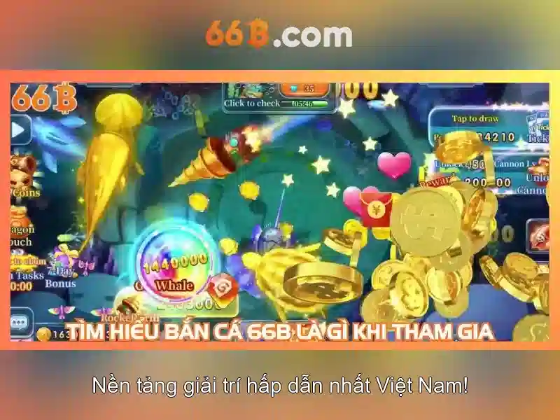 66B là gì?