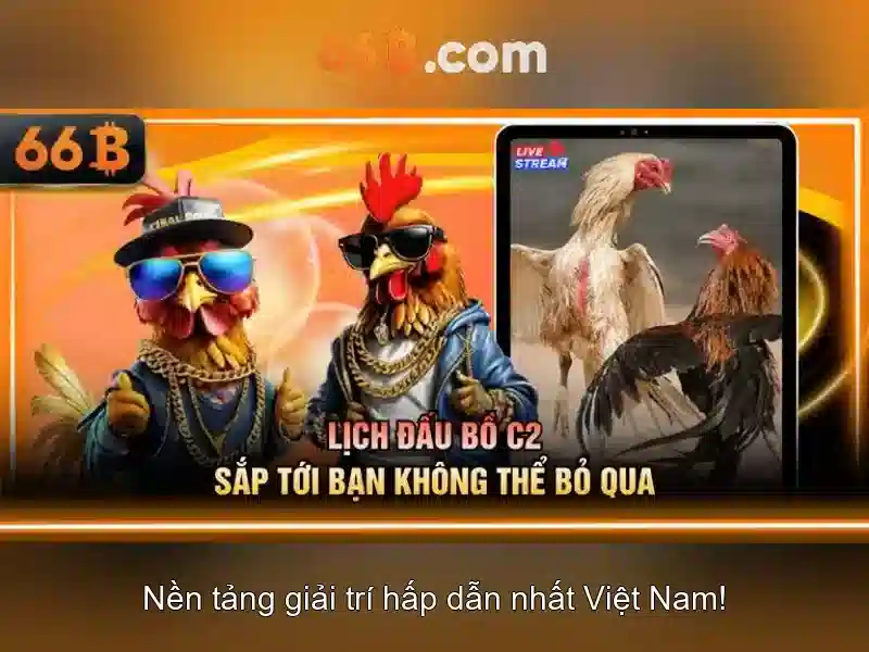 66b: Khái niệm, lịch sử và ứng dụng