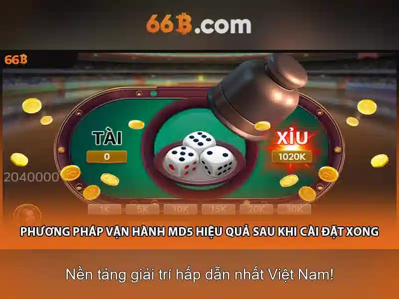 66B là gì?