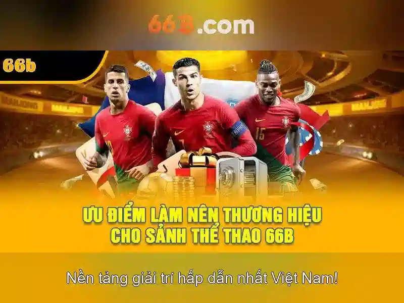 66b: Khái niệm và vai trò trong CNTT