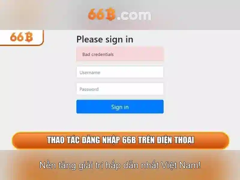 Hệ thống mã hóa SSL 128 bit bảo vệ dữ liệu người dùng 66b