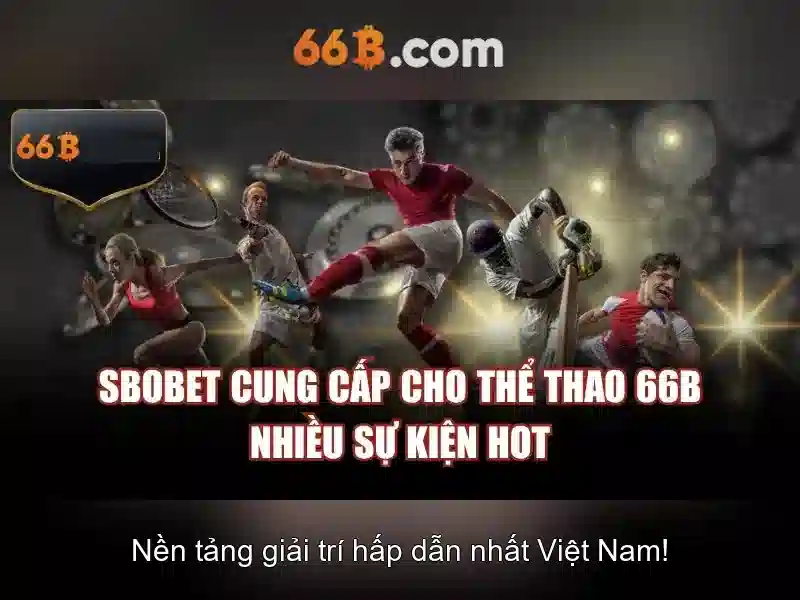 66b và những khía cạnh quan trọng