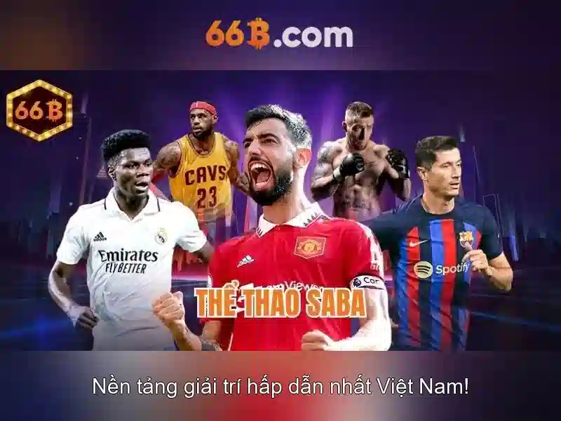 66b là gì và cách hiểu