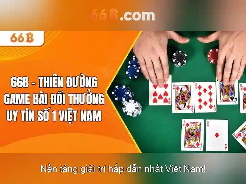66b: một khái niệm và ảnh hưởng