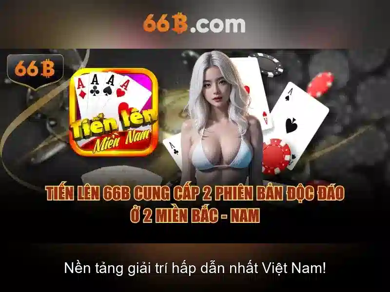 66b là gì