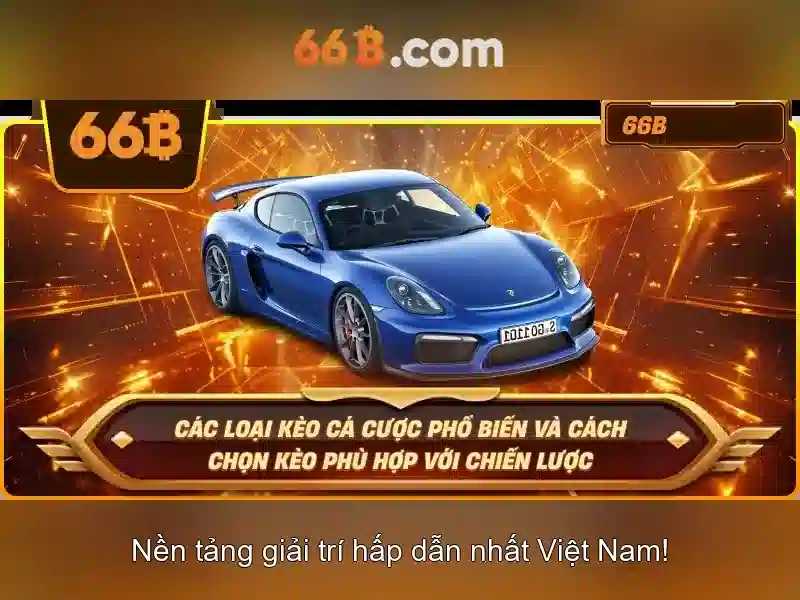 66b là gì?
