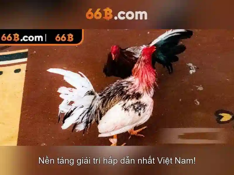 66b: Hiểu đúng kích thước và cách chọn quần áo