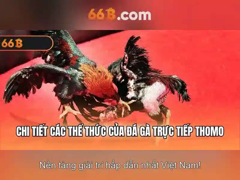 Cách tiếp cận và phát triển 66b
