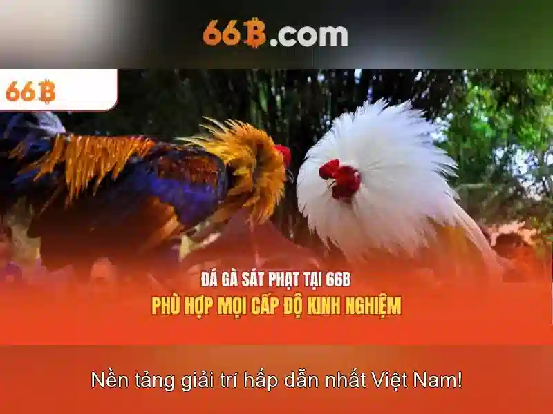 66B: Một mô hình ngôn ngữ lớn mới