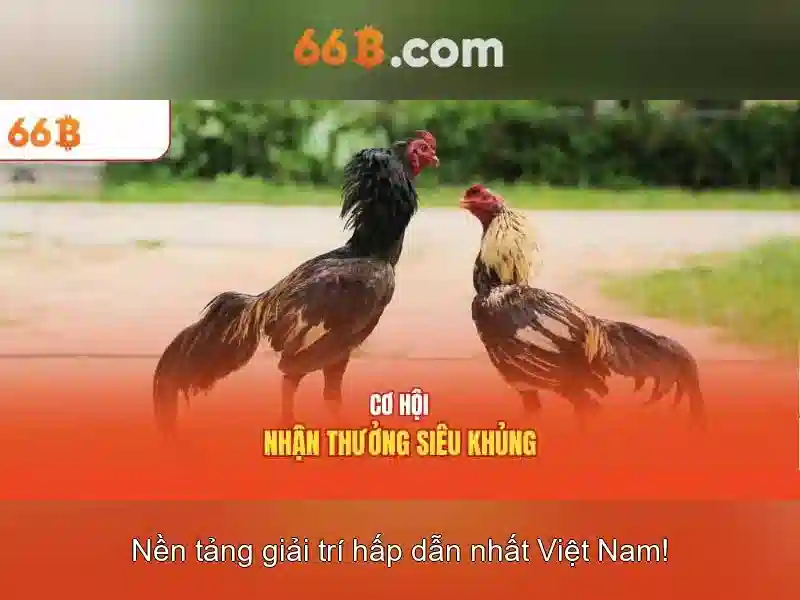 Giới thiệu về 66b