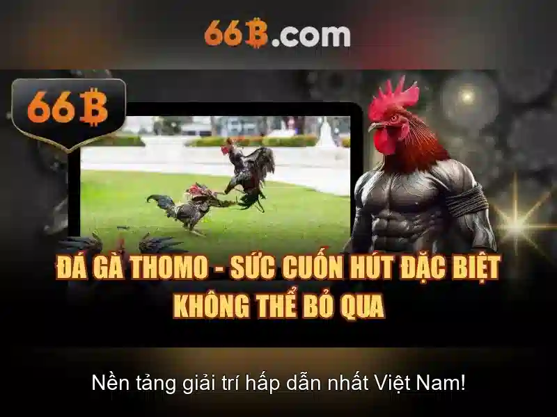 Kiến trúc và khả năng