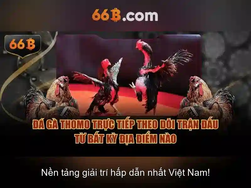 66B: Mô hình AI 66 tỷ tham số