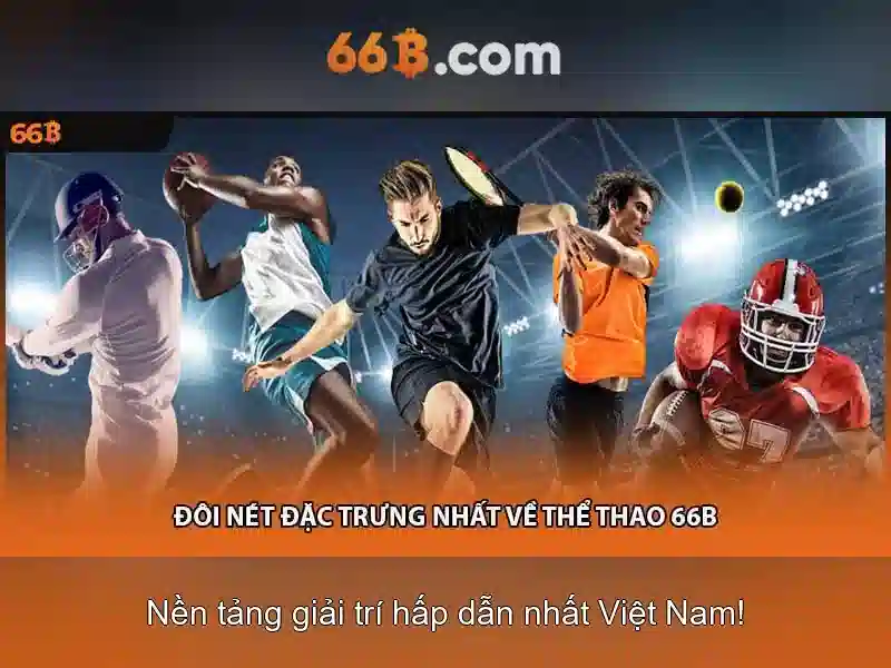 66B là gì?