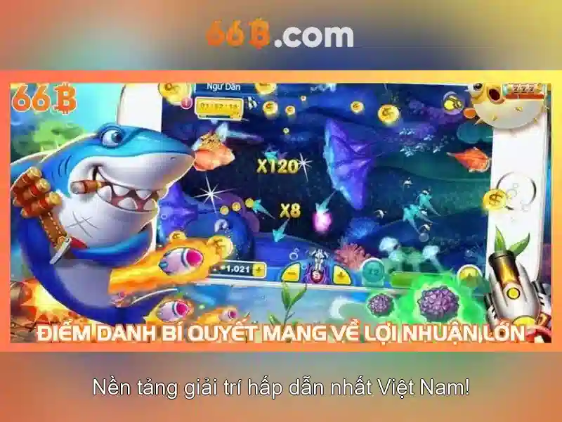 Kết luận