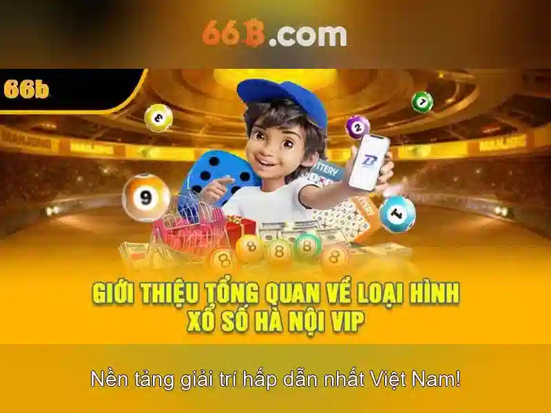 66b: Tổng quan bằng tiếng Việt