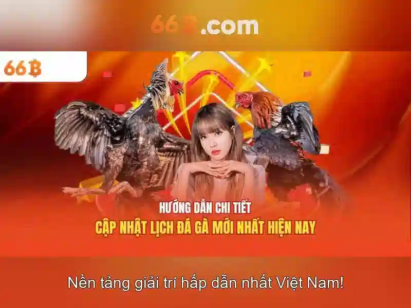 66b là gì và vì sao nó được quan tâm