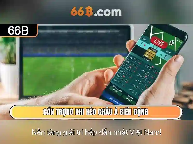 Giới thiệu về 66B