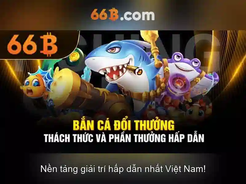 66b và những khía cạnh quan trọng