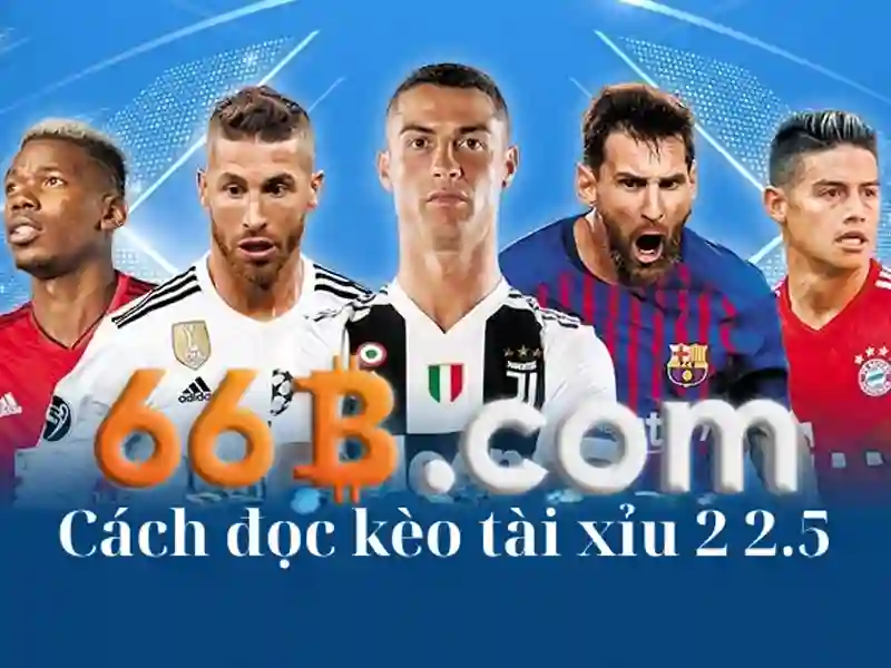 Giới thiệu về 66b