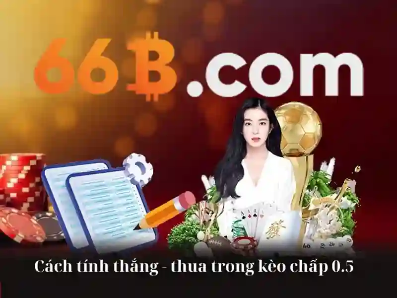 Khái niệm cơ bản về 66b